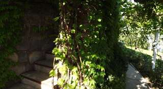 Гостиница Guest House Sun Hill Солнечногорское Номер "Стандарт"-10