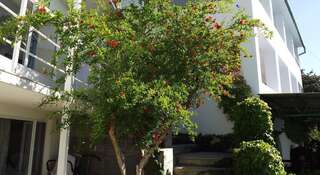 Гостиница Guest House Sun Hill Солнечногорское Номер "Стандарт"-9