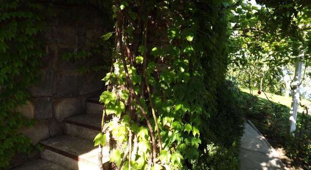 Гостиница Guest House Sun Hill Солнечногорское-12