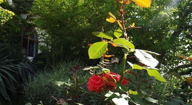 Гостиница Guest House Sun Hill Солнечногорское-24